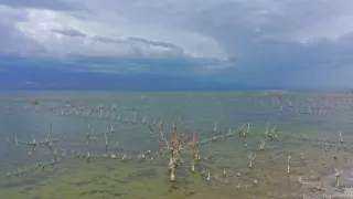 Na cestě po Santo Domingu