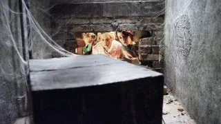 Modrá jako safír