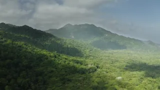 Tayrona (1/2)
