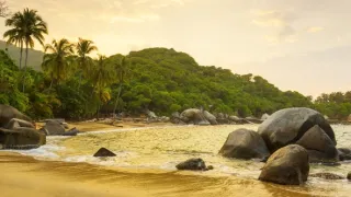 Tayrona (1/2)