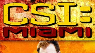 Kriminálka Miami V (14)
