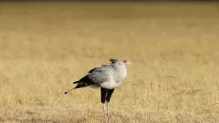 Matka příroda (1/2)