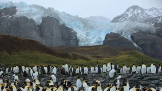 Veľké prírodovedné dobrodružstvá Davida Attenborougha (3/3)