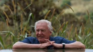 Veľké prírodovedné dobrodružstvá Davida Attenborougha (3/3)