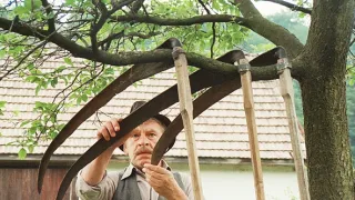 Kosenie Jastrabej lúky