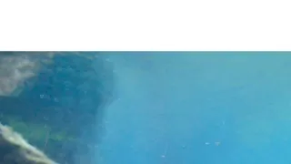 Podmořské divy Afriky (4)