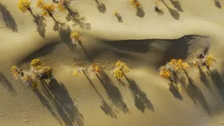 Zázračná planeta: Zelená planeta (4/5)