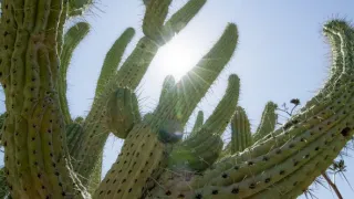 Zázračná planeta: Zelená planeta (4/5)