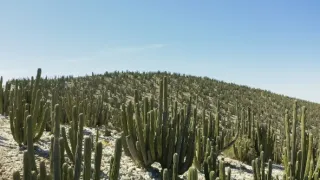 Zázračná planeta: Zelená planeta (4/5)