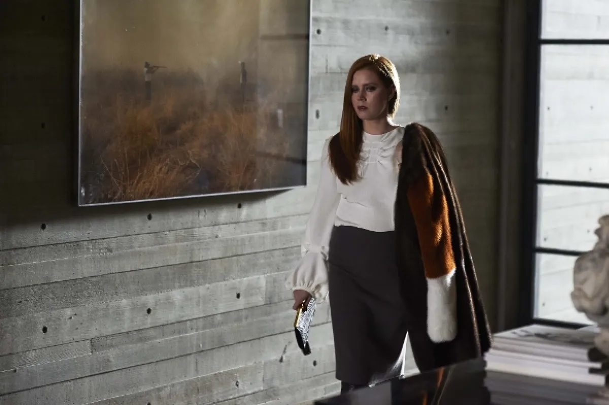 Noční zvířata (Nocturnal Animals), 2016 - fotogaléria