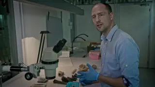 Největší apokalypsy dějin