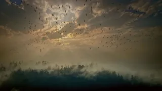 Největší apokalypsy dějin