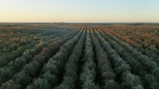 Zázračná planeta: Zelená planeta (5/5)