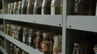 Zázračná planeta: Zelená planeta (5/5)