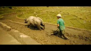 Čaro juhovýchodnej Ázie (2/2)