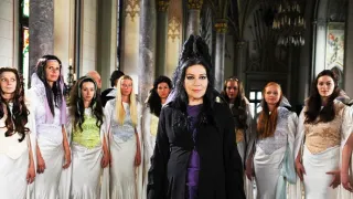 Rozprávky bratov Grimmovcov: Šípková Ruženka