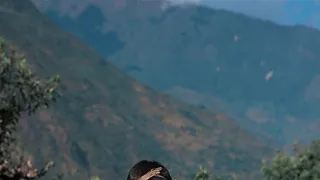 České himalájske dobrodružstvo: Annapurna, Manaslu