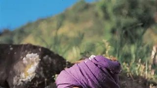 České himalájske dobrodružstvo: Annapurna, Manaslu