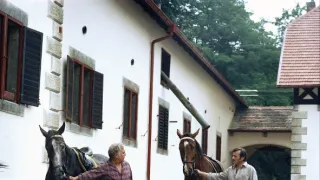Dobrá Voda (1/7)