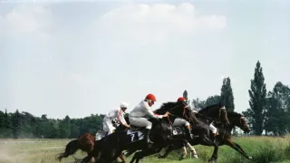 Dobrá Voda (1/7)