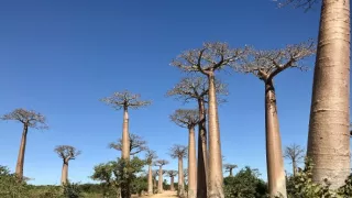 Neznámý Madagaskar (2/2)