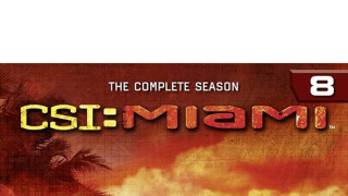 Kriminálka Miami VIII (2)