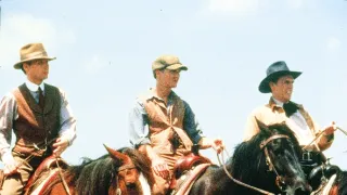 Bratři Newtonovi