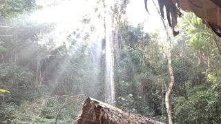 Neznámý Madagaskar (2/2)