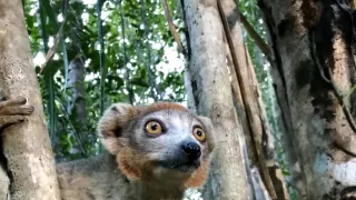 Neznámý Madagaskar (2/2)