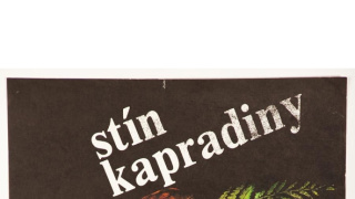 Stín kapradiny