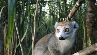 Neznámý Madagaskar (2/2)