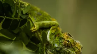 Neznámý Madagaskar (2/2)