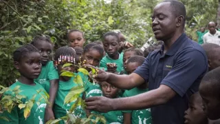 Útulok pre záchranu šimpanzov Jane Goodallovej (5/6)