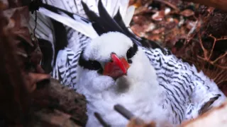 Život a smrť v raji (1/2)