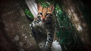 Život a smrť v raji (1/2)