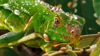 Život a smrť v raji (1/2)