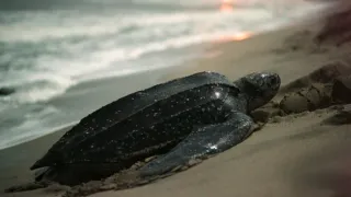 Život a smrť v raji (1/2)