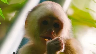 Život a smrť v raji (1/2)