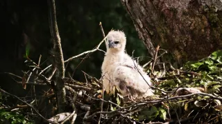Život a smrť v raji (1/2)