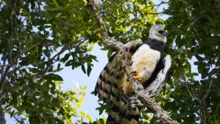 Život a smrť v raji (1/2)