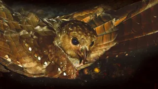 Život a smrť v raji (1/2)