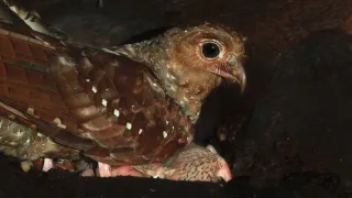 Život a smrť v raji (1/2)