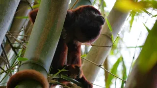 Život a smrť v raji (1/2)