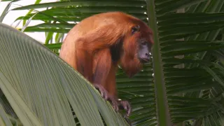 Život a smrť v raji (1/2)