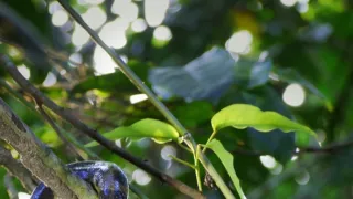 Život a smrť v raji (1/2)