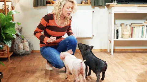 Dobré zprávy (40)