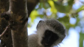 Na cestě po středním Zimbabwe