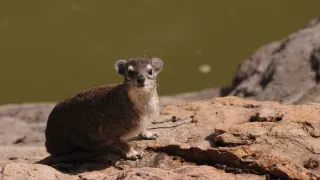 Na cestě po středním Zimbabwe