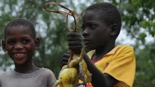 Na cestě po středním Zimbabwe