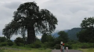Na cestě po středním Zimbabwe